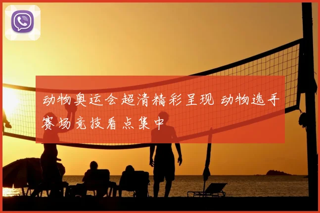 动物奥运会超清精彩呈现 动物选手赛场竞技看点集中