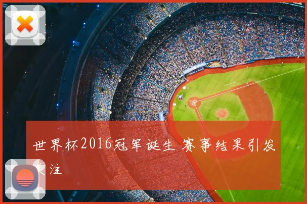 世界杯2016冠军诞生 赛事结果引发关注