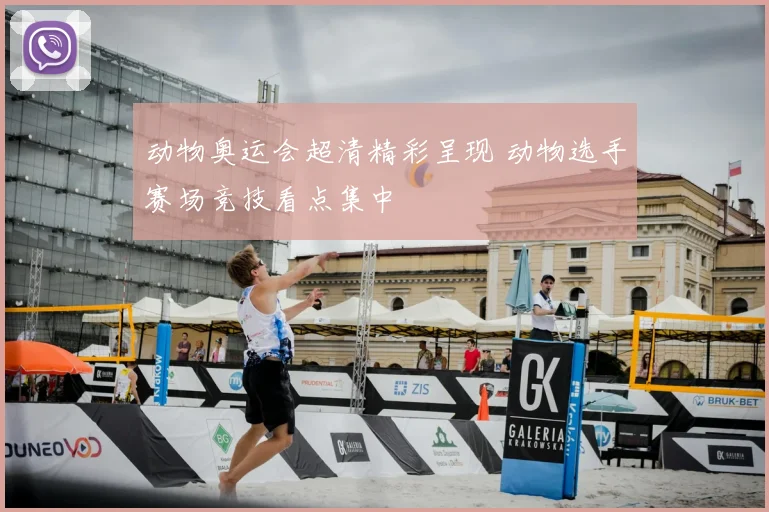 动物奥运会超清精彩呈现 动物选手赛场竞技看点集中