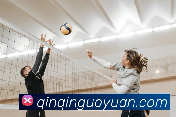 ayx登录平台APP 封面图